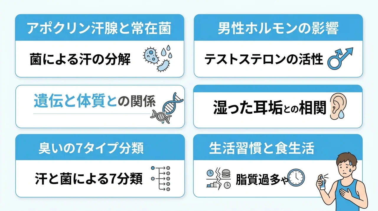 男性の脇の臭いの原因を徹底解説