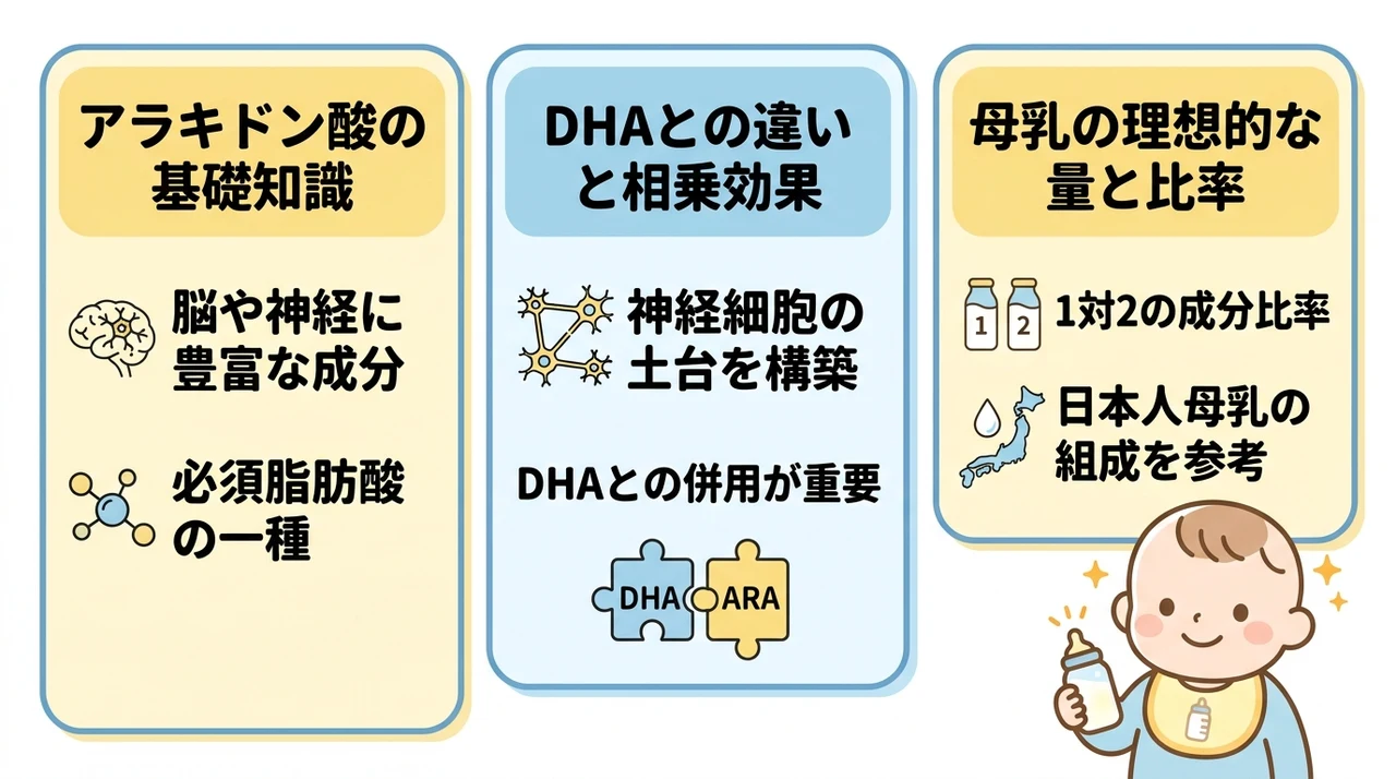 粉ミルクのアラキドン酸とは?赤ちゃんの脳の発達を支える重要な役割