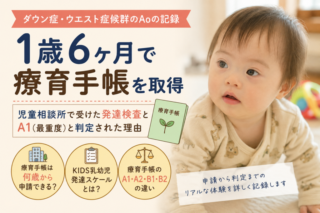 療育手帳は何歳から申請できる？1歳6ヶ月で発達検査を受け「A1」と判定された体験談