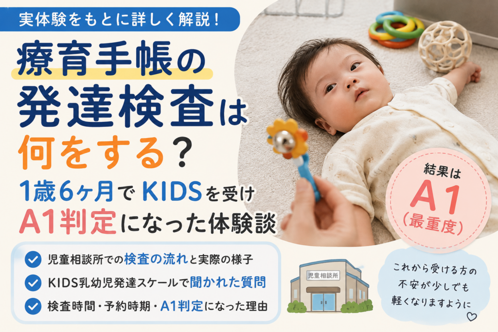 療育手帳の発達検査は何をする？1歳6ヶ月でKIDSを受けA1判定になった体験談