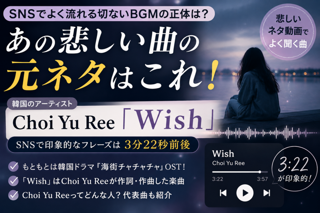 SNSで流れる悲しいBGMの元ネタは？Choi Yu Ree「Wish」の3分22秒を解説